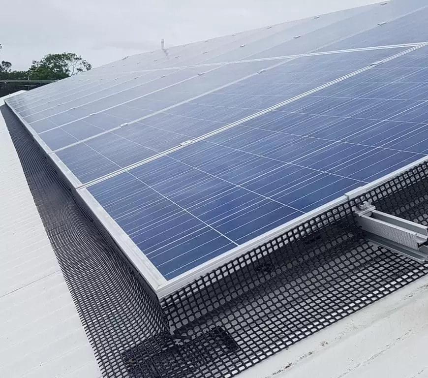 3_Solar Panel Cleaning_Bird-proofing (1)