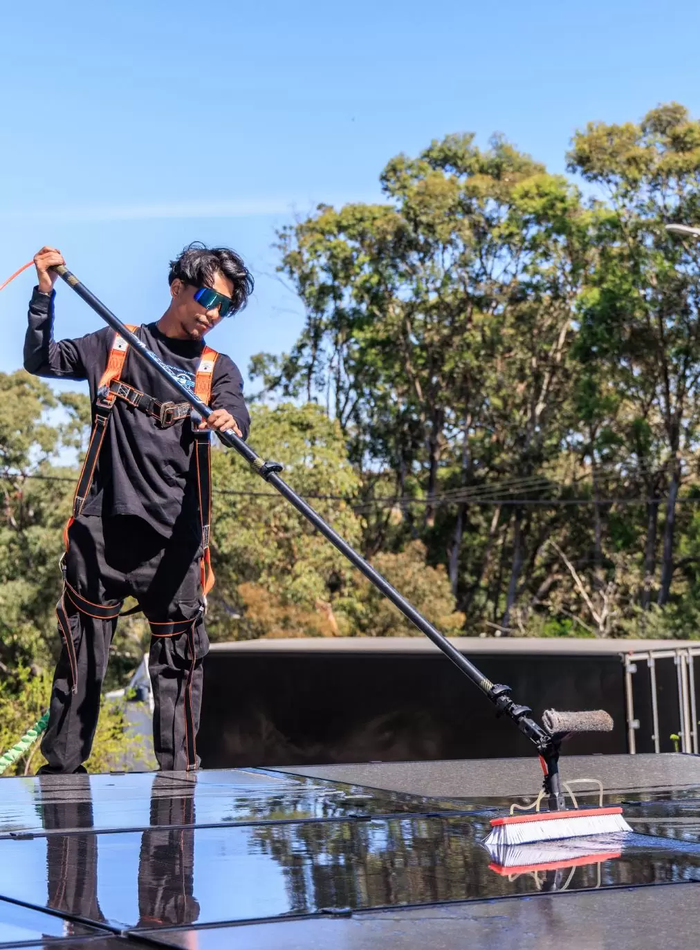 Solar Panel Cleaning & Bird Proofing