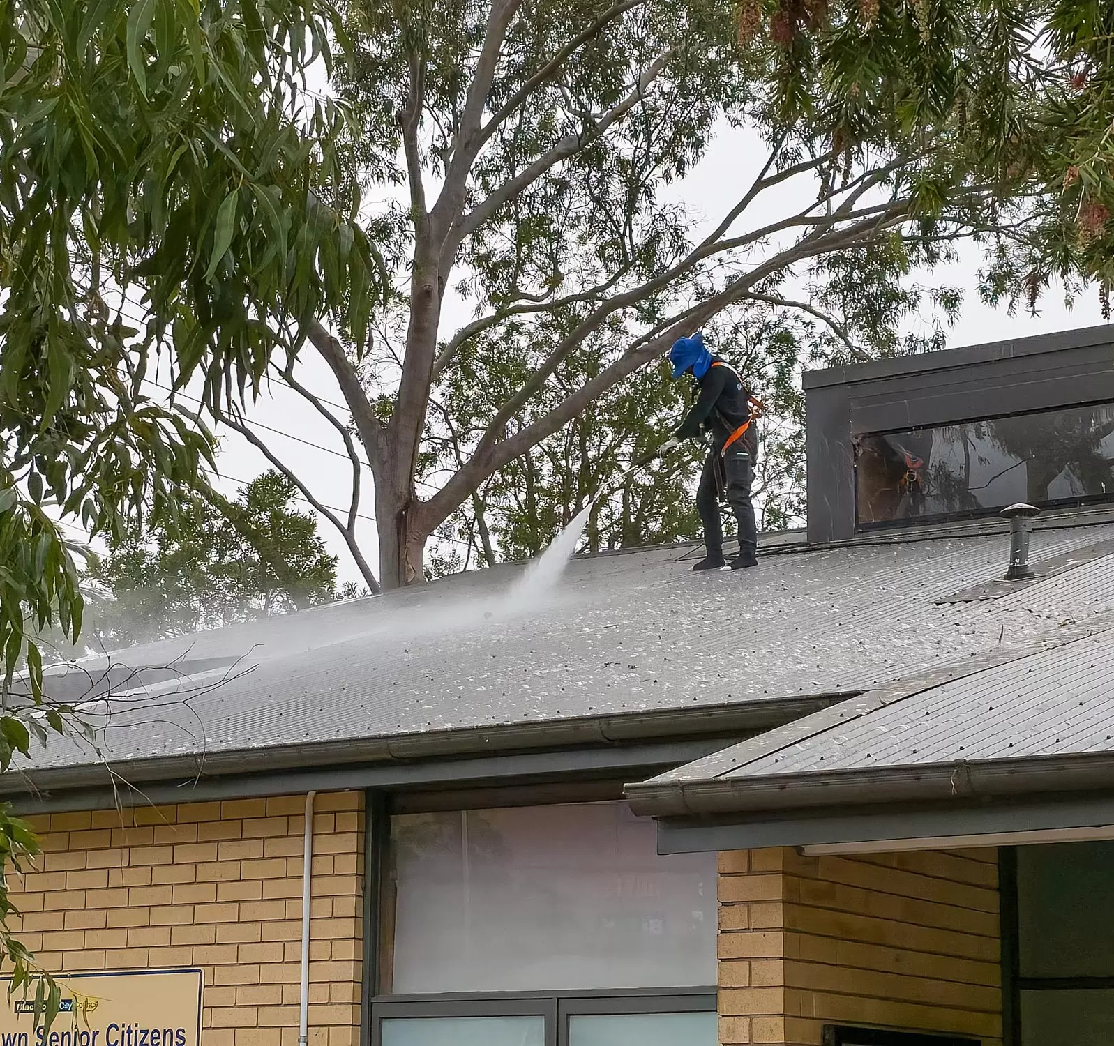 Roof-Cleaning_20251028_095611_SML
